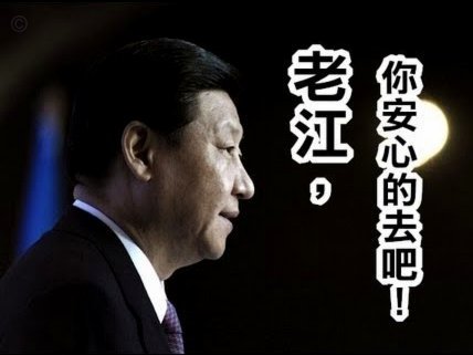 球迷误判：规则是关键