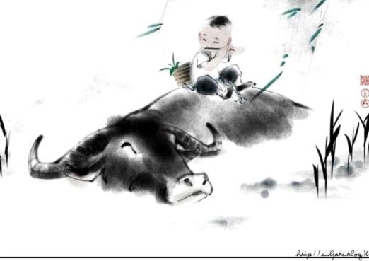 苏醒：阿根廷真的耗尽了，佛得角是我这辈子看过最牛逼的角