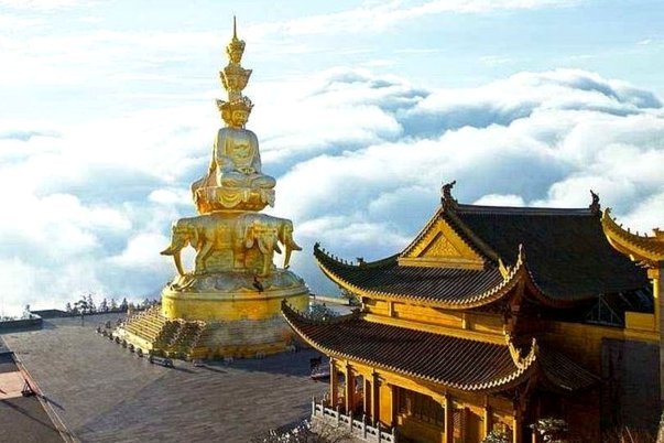 塞尔维亚前锋德莱蒂奇加盟佛山南狮增强内线实力